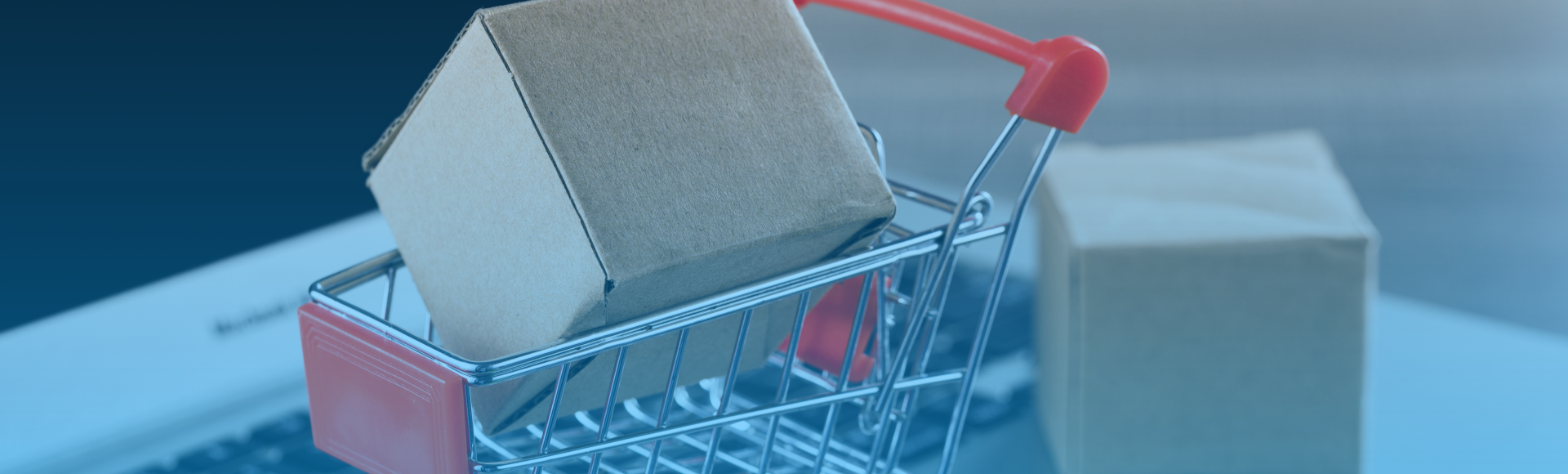 E-Commerce Platform